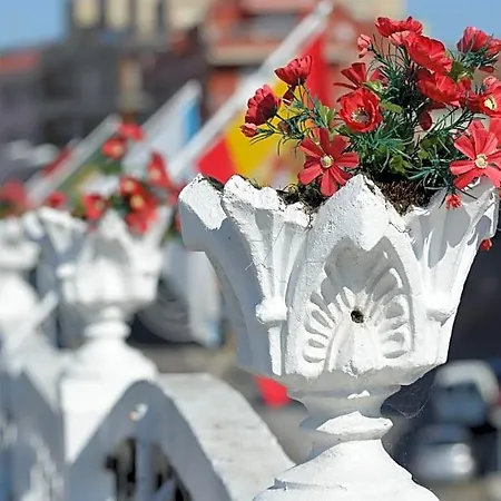 Hotel La Terraza 2*