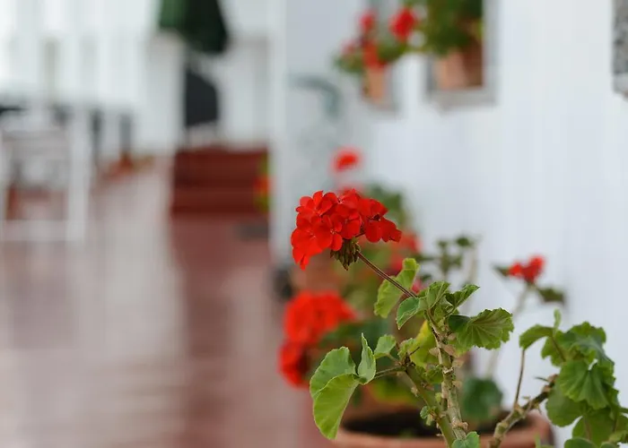 Отель La Terraza